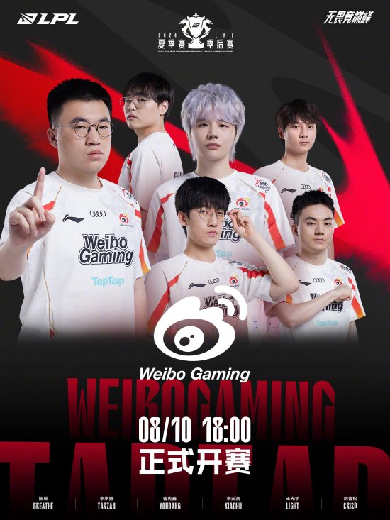 的重要因素 的重要因素